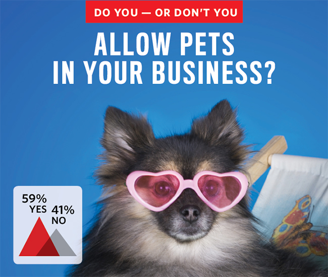 Do you allow pets in your business?