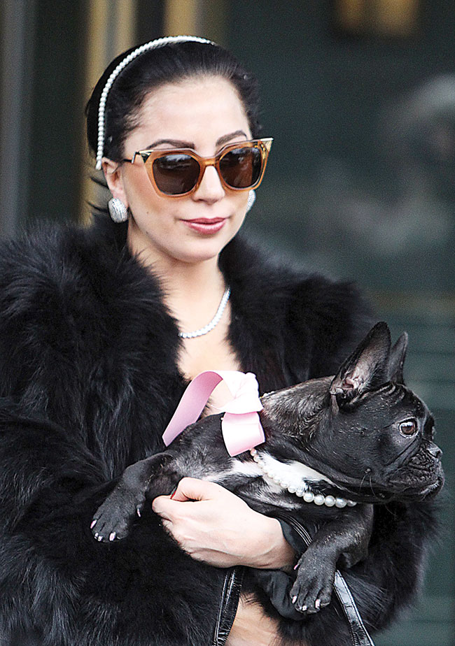 Lady Gaga in Fendi model FF/ 0060/S