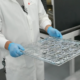 Cherry Optical Lab