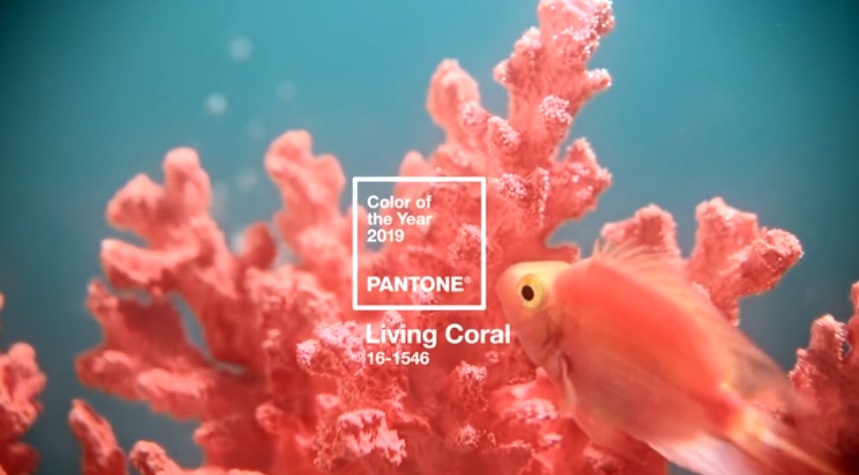 Pantone Reveals Color of the Year