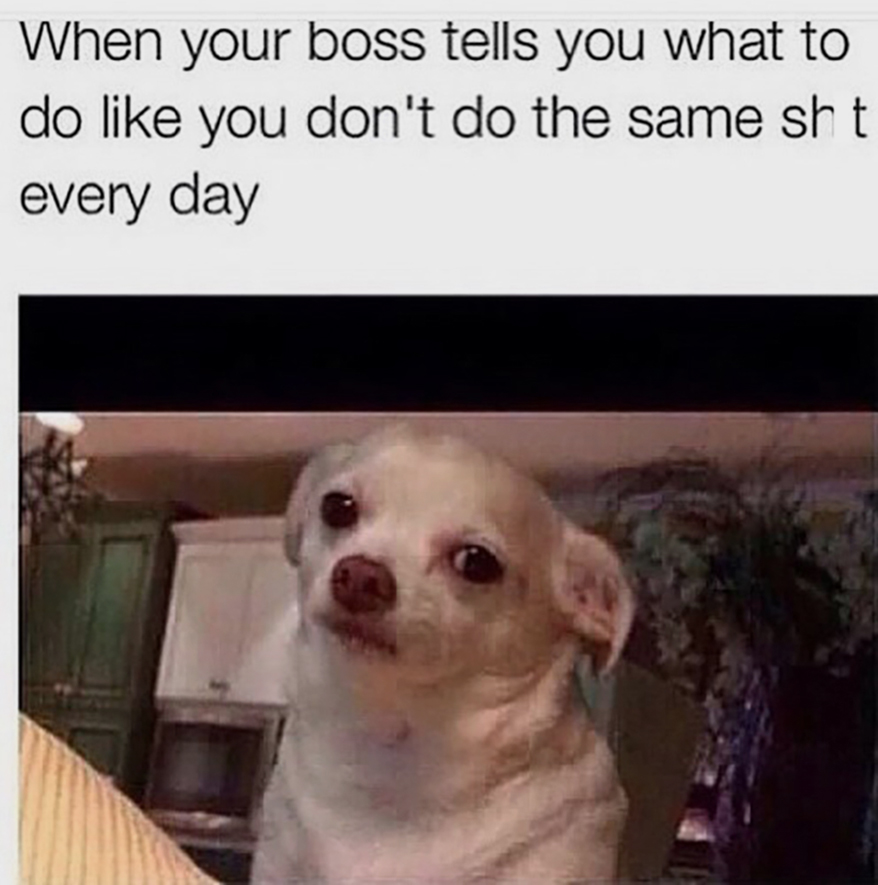14 Boss Memes That Will Have You Saying &#8216;That&#8217;s My Life&#8217;