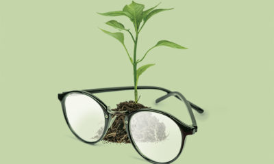 plant-and-eyeglasses