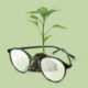 plant-and-eyeglasses