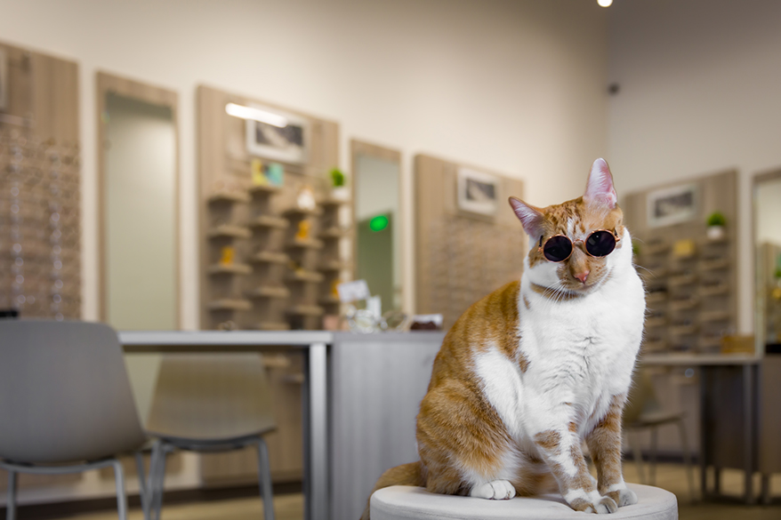 This Arizona Practice Combines Luxury Eyecare With Whimsical Branding and a Fresh Approach to Staffing