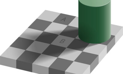 9 Optical Illusions That Make You Question What You’re Seeing