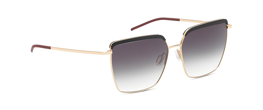 ECPs Share their Best-Selling Collections for December 2025 ...