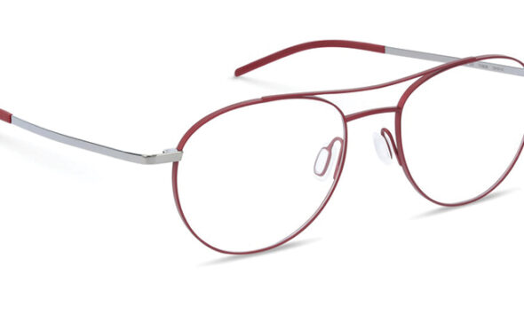 ECPs Share Their Best-Selling Collections for February 2026